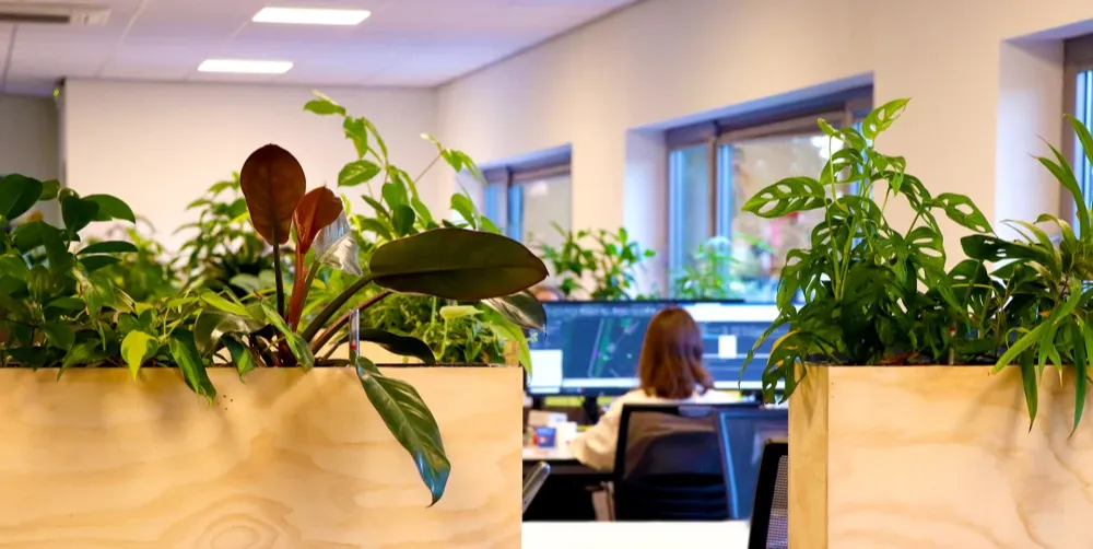 Van flexibele werkplekken tot groene kantoren: zo creëren we productieve omgevingen